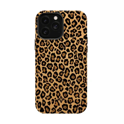 Sahara Leopard